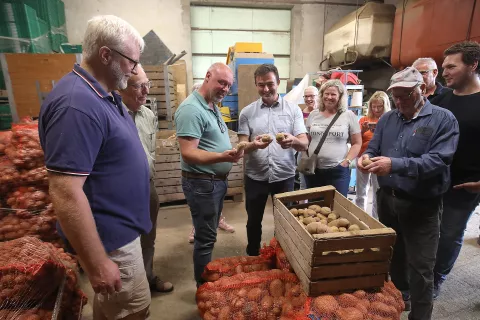 obisk nizozemsko združenje krompir kmetija Novak Prebačevo nizozemci tujci kmetijstvo polje njiva / Foto: Gorazd Kavčič