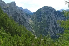 Zadnjiški ozebnik kot ga vidimo s poti na Goličico. / Foto: Mateja Gerečnik