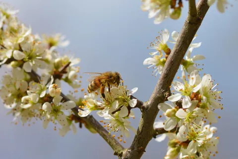 Slika je simbolična / Foto: Pixabay