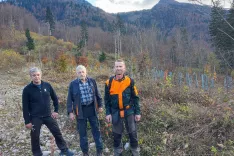 V gozdu nad Bohinjsko Bistrico: (od leve) podpredsednik agrarne skupnosti Igor Logar, gospodar Anton Arh in predsednik Andrej Ogrin / Foto: Boris Mavrar (zgs)