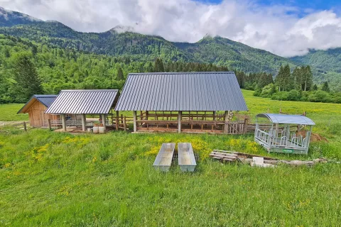 Skupno molzišče na pašniku agrarne skupnosti nad Bohinjsko Bistrico / Foto:  