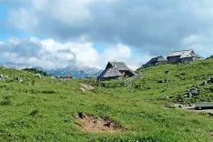 Velika planina privablja predvsem zaradi pastirske dediščine in neokrnjene narave. / Foto: 