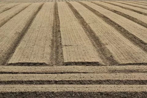 Država naj s spremembo zakonodaje zaščiti najboljša kmetijska zemljišča pred pozidavo in jih s tem ohrani za kmetijsko pridelavo. / Foto: Cveto Zaplotnik