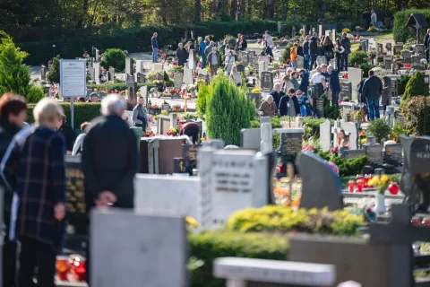 pokopališče blejska dobrava / Foto: Nik Bertoncelj