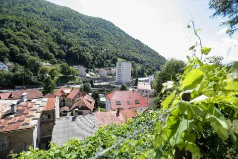 Anketa o oživljanju mestnega jedra / Foto: Tina Dokl