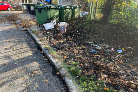 Podgane so se zaredile na vrtičkih ob železnici, kjer so raztreseni odpadki. / Foto: Arhiv Občine Jesenice