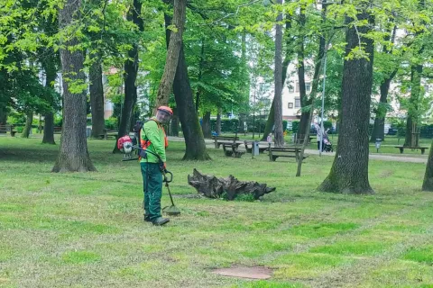 Podjetje Želva ima poslovno enoto tudi v Škofji Loki. Trenutno imajo 18 zaposlenih, od tega deset invalidov. / Foto: Arhiv Podjetja