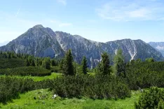 Pogled na Ojstrc in Kravjo gor z Malega Obirja. / Foto: Jelena Justin