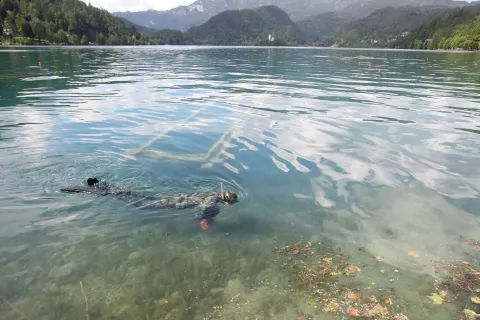 čistilna akcija potapljači Bled blejsko jezero grajsko kopališče smeti potop potaplanje / Foto: Gorazd Kavčič