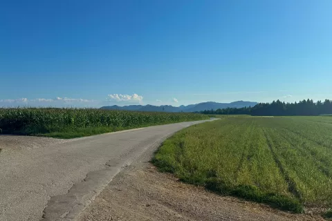 Avgusta bo stekla rekonstrukcija odseka lokalne ceste Voklo–Trboje. / Foto: Maša Likosar