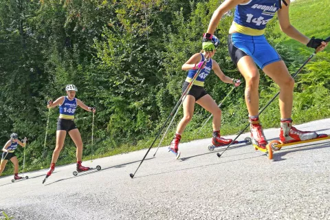 Srdjan Zivulovic /Bobo / Foto: Srdjan Zivulovic / Bobo