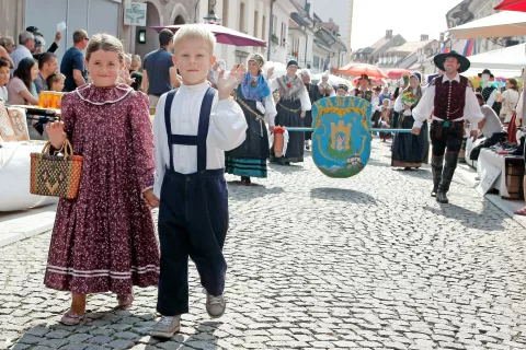 Pred nami so 51. dnevi narodnih noš in oblačilne dediščine. / Foto: arhiv Gorenjskega glasa (Gorazd Kavčič)